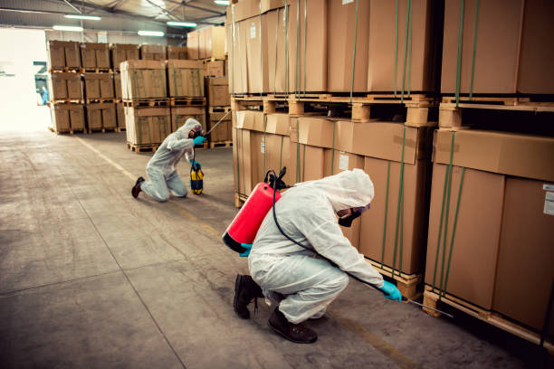 Best Local Pest Control Services  in Shawneeland, VA