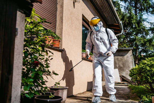 Best Mosquito Control Services  in Shawneeland, VA