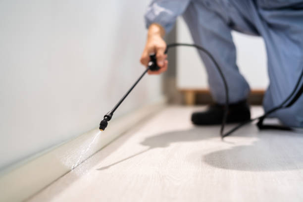 Best Commercial Pest Control Services  in Shawneeland, VA