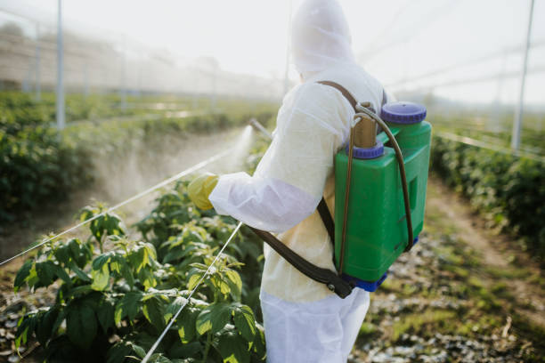 Wildlife Control Services in Shawneeland, VA